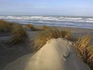 Vakantiepark Noyelles-sur-Mer Omgeving 20