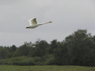 Vakantiepark Noyelles-sur-Mer Omgeving 30