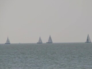 Parc de vacances Noyelles-sur-Mer Environnement 16