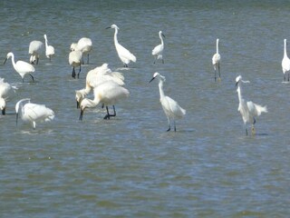 Parc de vacances Noyelles-sur-Mer Environnement 30