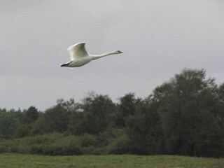 Parco vacanze Noyelles-sur-Mer Ambiente 36
