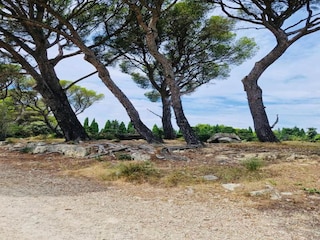 Ferienpark Paradou Umgebung 16