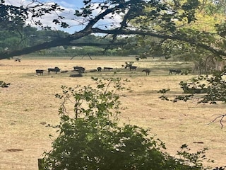 Holiday park Paradou Environment 26