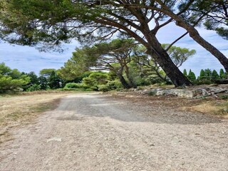 Holiday park Paradou Environment 26