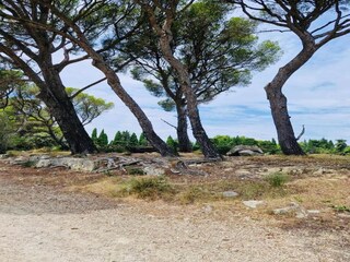 Holiday park Paradou Environment 31