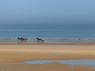 Holiday park Cabourg Environment 14