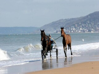 Parc de vacances Cabourg Environnement 16