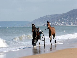 Vakantiepark Cabourg Omgeving 27