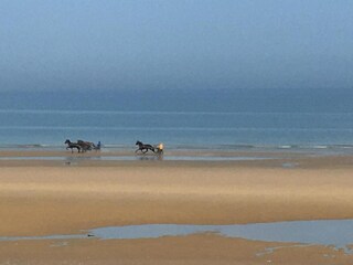 Parc de vacances Cabourg Environnement 31