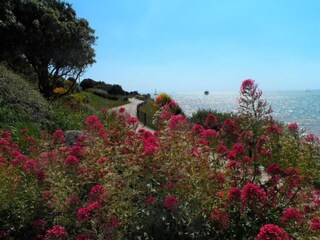 Parc de vacances La Rochelle Environnement 34