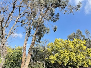 Ferienpark Cogolin Umgebung 29