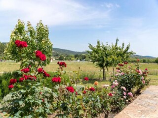 Vakantiepark Cogolin Omgeving 22