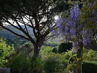 Ferienpark Cogolin Umgebung 26