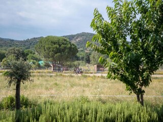 Parc de vacances Cogolin Environnement 16
