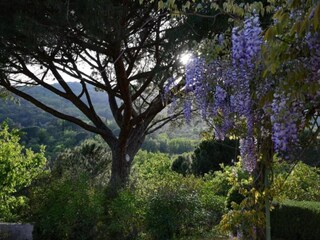 Parc de vacances Cogolin Environnement 25