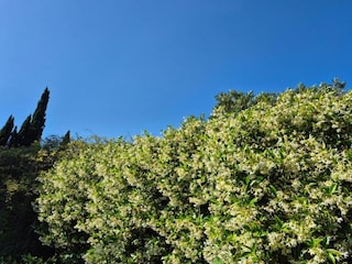 Ferienpark Cogolin Umgebung 14