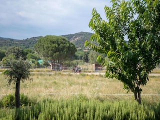 Holiday park Cogolin Environment 21