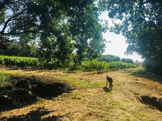 Parc de vacances Cogolin Environnement 23