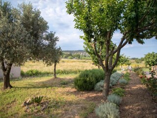 Vakantiepark Cogolin Omgeving 19