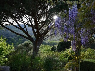 Vakantiepark Cogolin Omgeving 33