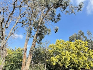 Vakantiepark Cogolin Omgeving 33