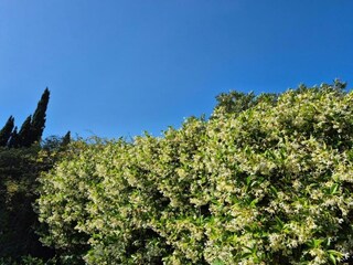 Parc de vacances Cogolin Environnement 33