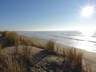 Ferienpark Dolus-d'Oléron Umgebung 26
