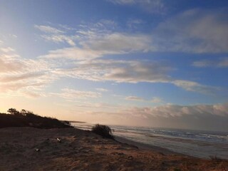 Parc de vacances Dolus-d'Oléron Environnement 22