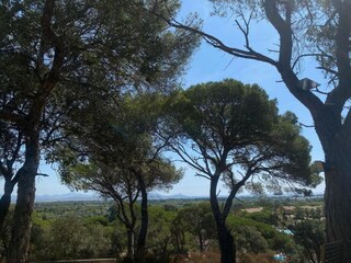 Parc de vacances Saint-Aygulf Environnement 36