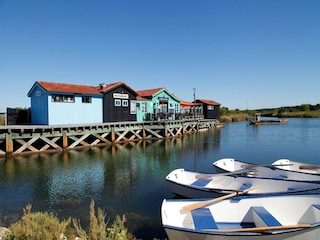 Vakantiepark Dolus-d'Oléron Omgeving 26