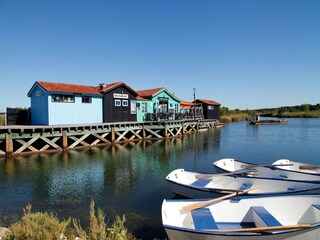 Parque de vacaciones Dolus-d'Oléron Entorno 21