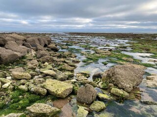 Vakantiepark Dolus-d'Oléron Omgeving 34