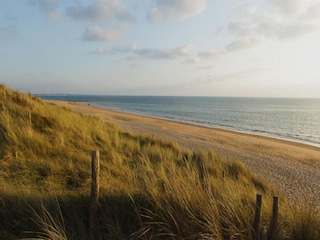 Parco vacanze Dolus-d'Oléron Ambiente 26