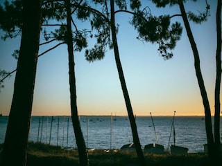 Ferienpark Dolus-d'Oléron Umgebung 29