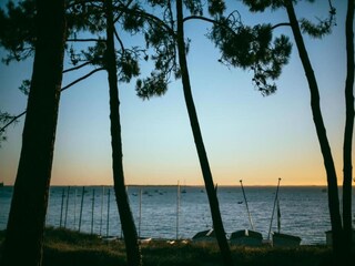 Parc de vacances Dolus-d'Oléron Environnement 29