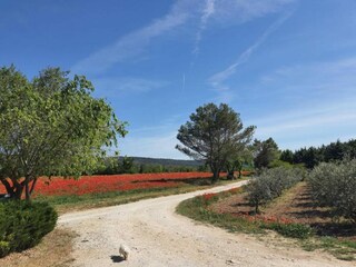 Parc de vacances Gordes Environnement 22