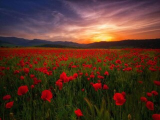 Parco vacanze Gordes Ambiente 34