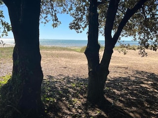 Ferienpark Rivedoux-Plage Umgebung 30