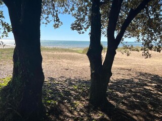 Parc de vacances Rivedoux-Plage Environnement 29