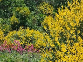 Ferienpark Gordes Umgebung 26