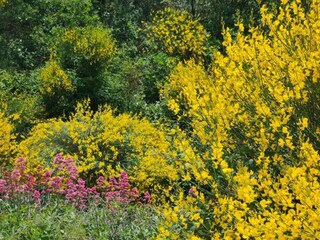 Vakantiepark Gordes Omgeving 21