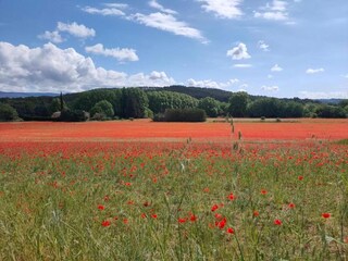 Parc de vacances Gordes Environnement 27