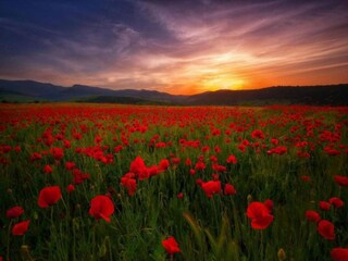 Parco vacanze Gordes Ambiente 22