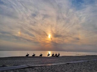 Vakantiepark Rivedoux-Plage Omgeving 21