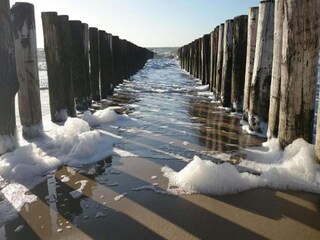 Vakantiepark Rivedoux-Plage Omgeving 24