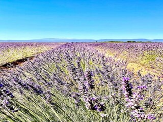 Holiday park Lacoste Environment 28