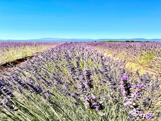 Parco vacanze Lacoste Ambiente 20