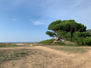 Ferienpark Ile Rousse Umgebung 30