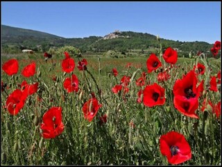 Ferienpark Lacoste Umgebung 22