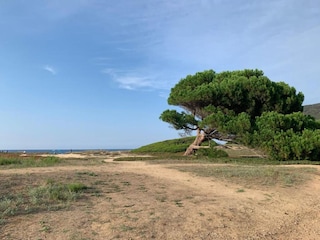 Holiday park Ile Rousse Environment 19